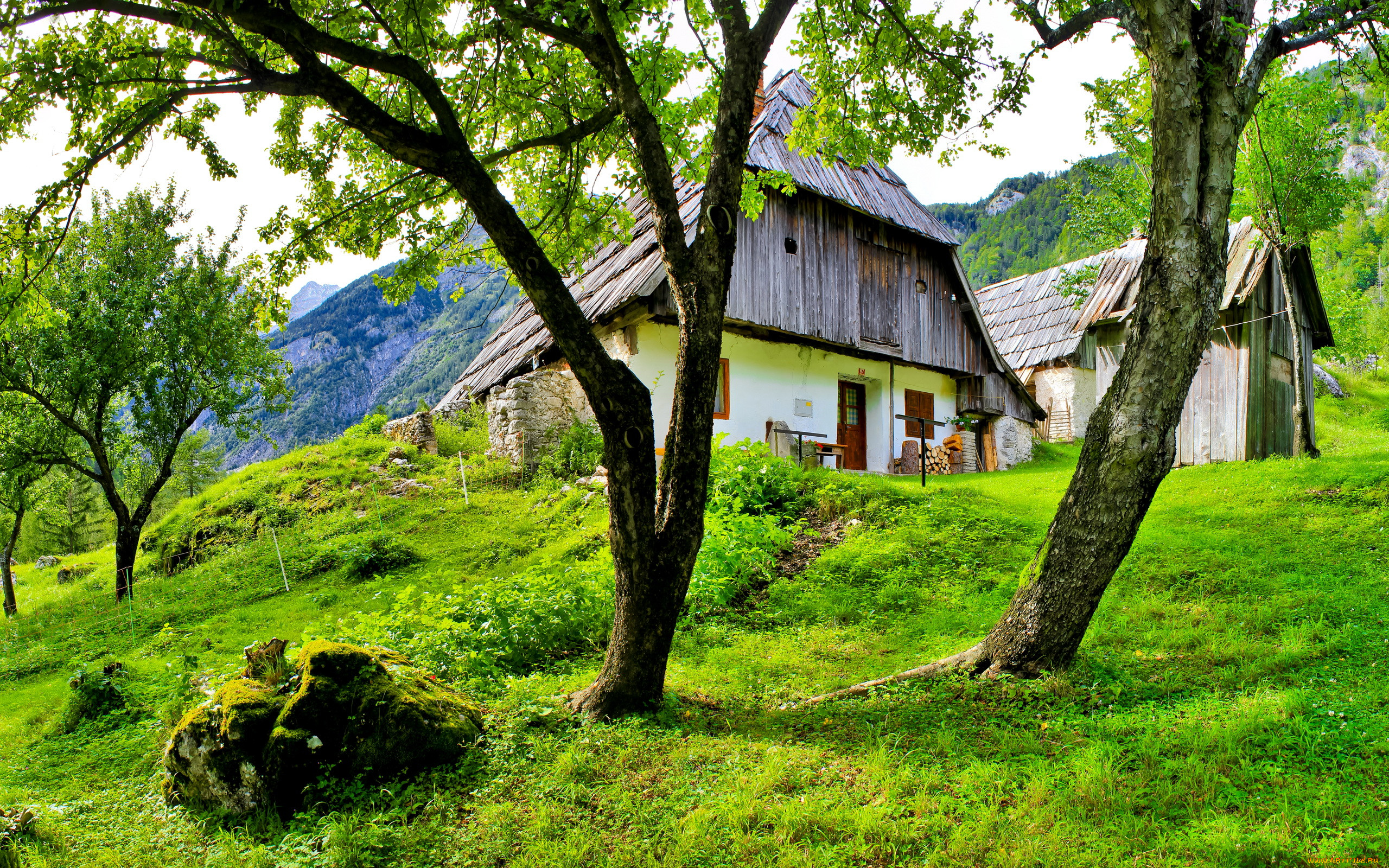 , bovec, , , , , 